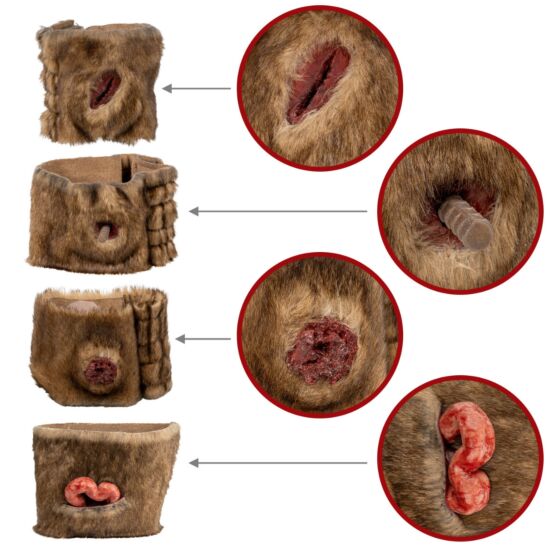 K-9 Medical Simulator - North American Rescue®