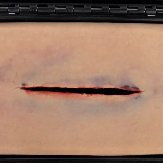 Laceration Wound in a Box Simulator - North American Rescue®