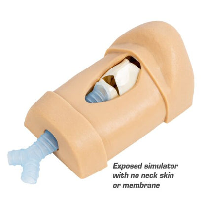 Cric in a Box Simulator - North American Rescue®